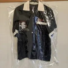 Item thumbnail for item 867e8f2a-a230-45c7-a626-9b1a681aee0d