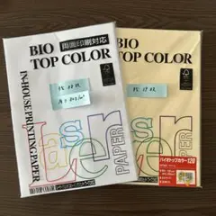 Item thumbnail for item 073f2dfc-779f-4d50-ae7b-740bccc87842