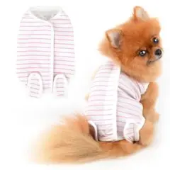 Item thumbnail for item 3143e396-5f5f-48e1-aad6-5d9decf5ba3b