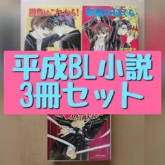 BL小説 3冊セット まとめ売り 成田空子 バーバラ片桐 こうじま奈月 明神翼