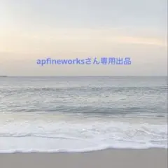 apfineworksさん専用出品