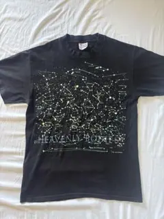 Heavenly Bodies Liberty Graphics T-shirt