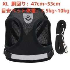 Item thumbnail for item 5de07401-b4a3-49c0-8676-e012af197990