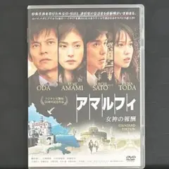 アマルフィ 女神の報酬 スタンダード・エディション　DVD 日本映画