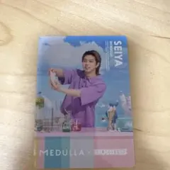 BUDDiiS MEDULLA SEIYA
