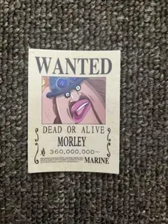 ワンピース　onepiece 手配書ステッカー　モーリー