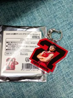 Item thumbnail for item 79dbb185-dbf8-4bcf-b13b-149911e44ad8