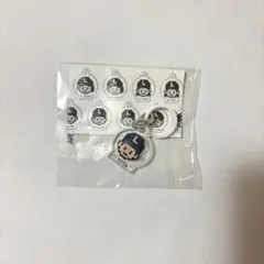 西武ライオンズ めじるしチャーム 武内 夏暉