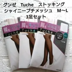 グンゼ　トゥシェ　Tuche ストッキング　 シャイニープチメッシュ　М〜L