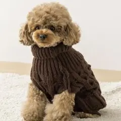 Item thumbnail for item b4fa52e1-2900-4078-bc59-7150d9b6360c