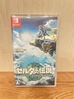 ゼルダの伝説 ティアーズ オブ ザ キングダム