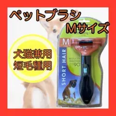 Item thumbnail for item 4fbbbd2e-4142-446c-8b9c-553c5dca9de3