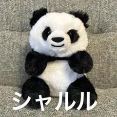 新品　パンダ　ぬいぐるみくじ　アドベンチャーワールド