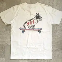 TES エンドレスサマー CALIFORNIA WAVE Tシャツ S ブヒ