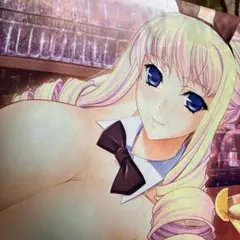 ワルキューレロマンツェ　ベルティーユ 描き下ろしタペストリー メロンブックス特典