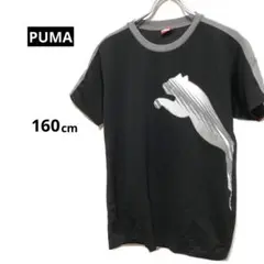 PUMA プーマ　半袖Tシャツ　男の子　160cm プリント　メッシュ素材