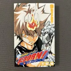 家庭教師ヒットマンreborn! 9(新アイテム来る!)
