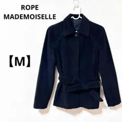 Item thumbnail for item b0dd73ea-5549-4bb2-953f-db2ad2c3c40a