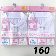 Item thumbnail for item 89452533-7b63-4079-979b-9113037c047b