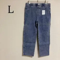 レギンスパンツ ウエストゴム スキニーデニム ボトムス ストレッチ L アンクル