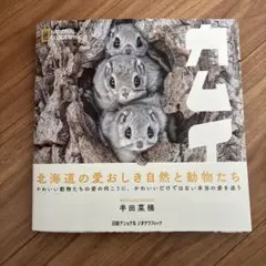 カムイ　半田菜摘