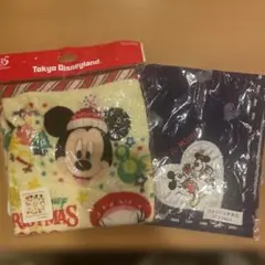 東京ディズニーランド ミッキー クリスマス タオル