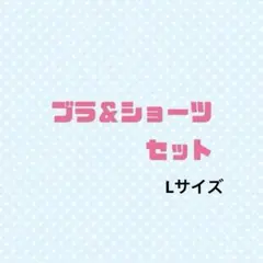 ブラ&ショーツセット Lサイズ