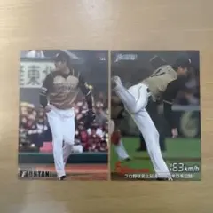 大谷翔平 プロ野球チップス