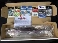 2025年最新】シグナル ウルトラカープの人気アイテム - メルカリ