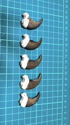 熊の爪