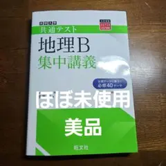 ＊ほぼ未使用美品＊　旺文社　共通テスト 地理B 集中講義