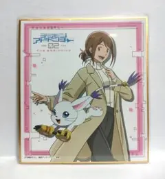 匿名配送 劇場版デジモンアドベンチャー02 色紙 八神ヒカリ テイルモン