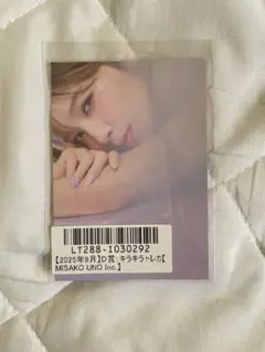 Item thumbnail for item 64f0677d-10e9-4d74-831d-facd43f08e2f