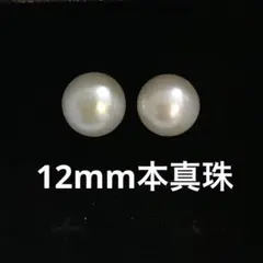 一粒 本真珠 淡水パール ピアス シンプル 大粒 12mm