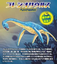 海の恐竜　&co プレシオサウルス　デアゴスティーニ　アンドコ