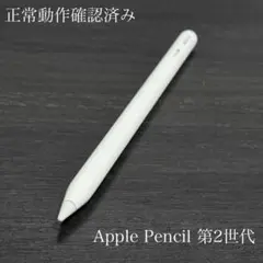 正常動作確認済み　Apple Pencil 第2世代　ss5
