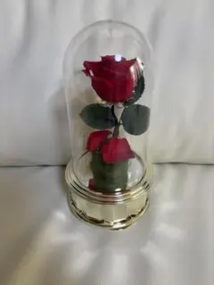 美女と野獣 薔薇のオルゴール
