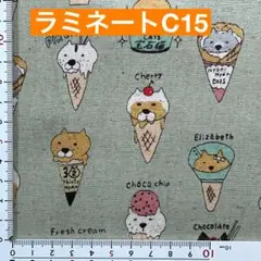 ラミネート　50センチ ネコ　アイス　グリーン