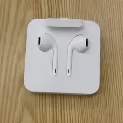 最安値 Apple 純正イヤホン Lightning Earpods新品未使用