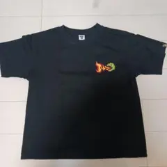 (美品)NASTYDOGティーシャツブラックL