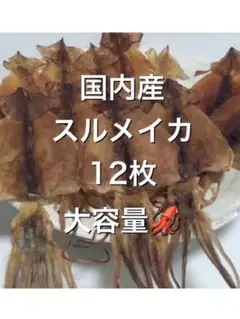 スルメイカ12枚 おつまみ 珍味 あたりめ するめいか