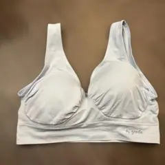 美胸のジニエ 4Ｌ