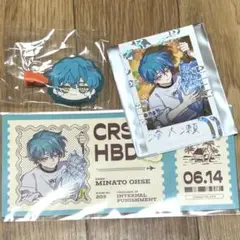 湊大瀬セット ミニこれ ヘアクリップ 箔押しチェキ Birthdayチケット
