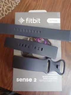 Fitbit Sense 2 グレー バンド