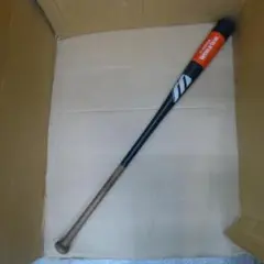 Item thumbnail for item 03c0b1f2-7e87-4aa3-8e81-2c450d81f158