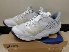 Item thumbnail for item 19e3200c-a3d6-4fb2-b5b0-dd7b2af4efde