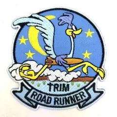 アイロンワッペン ロードランナー アメカジ キャラクター