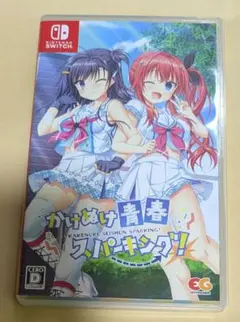 【8/13まで】かけぬけ青春スパーキング　switch ソフト