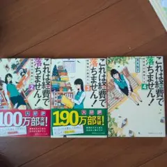 これは経費で落ちません! ～経理部の森若さん～ 2～4セット売り