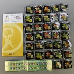 2002 ワールドカップ 出場国ピンズコレクション 32個セット
